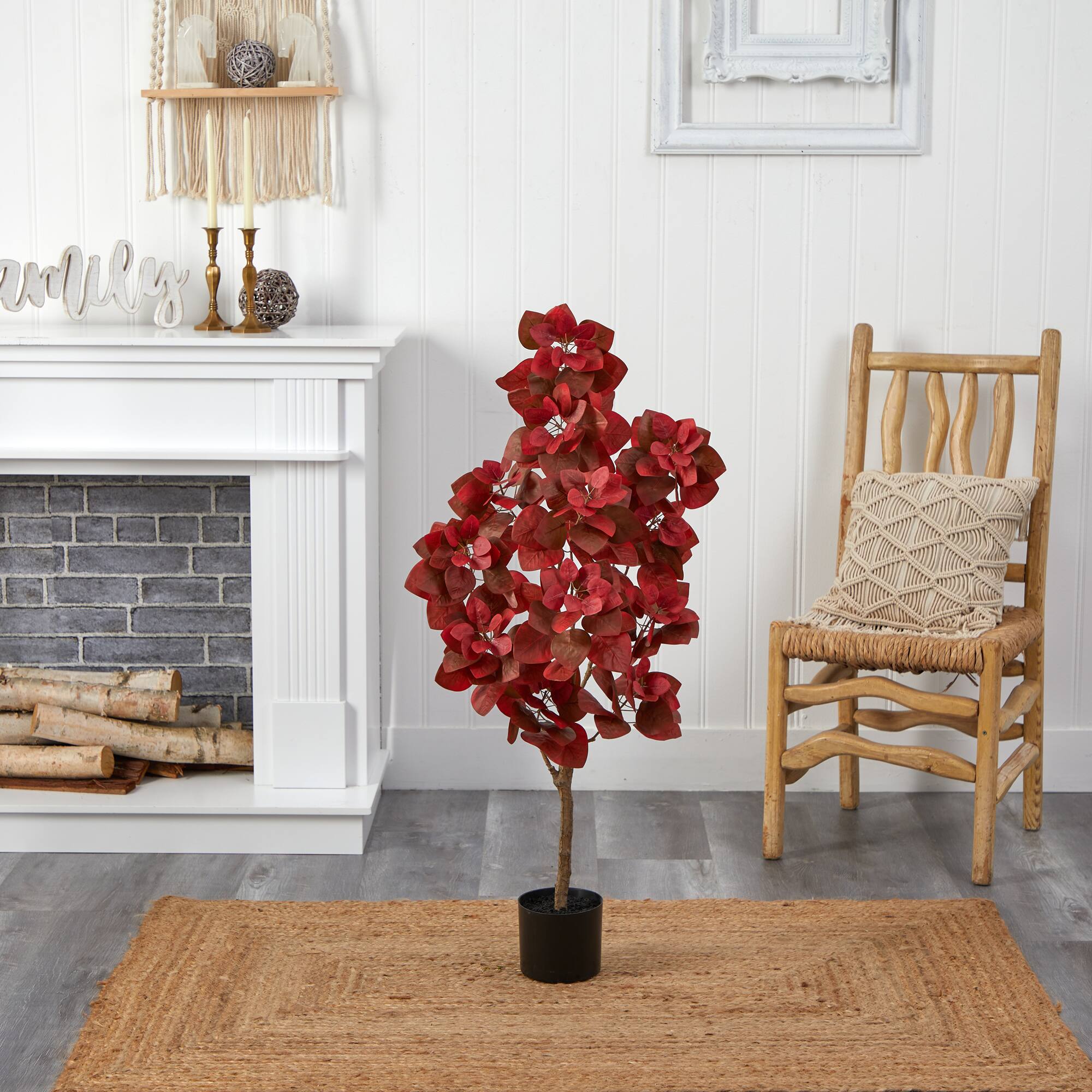 4ft. Potted Autumn Pomegranate Tree